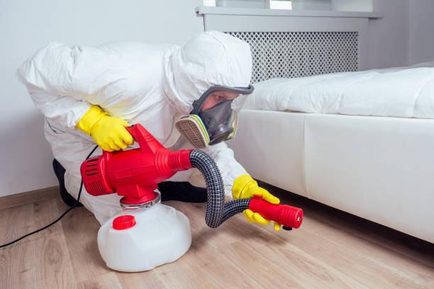 Best Flea Control Services  in Highland Heights, OH