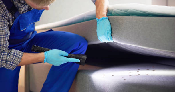 Best Pest Removal Services  in Highland Heights, OH