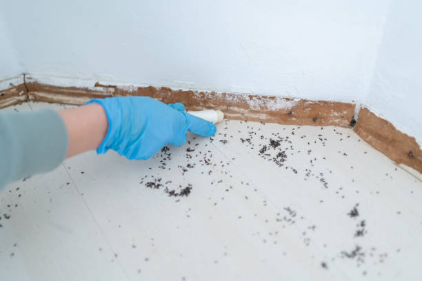 Best Pest Prevention Services  in Highland Heights, OH