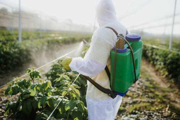 Best Best Pest Control Companies  in Highland Heights, OH